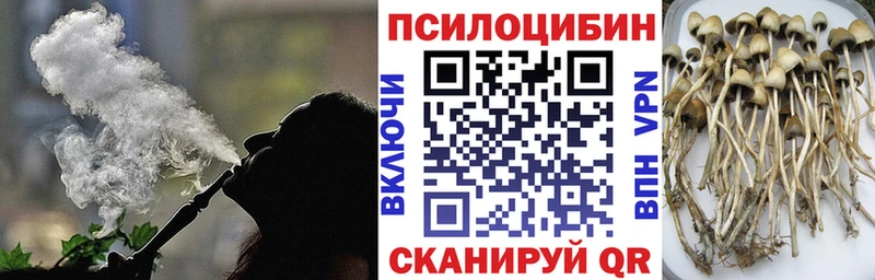 Псилоцибиновые грибы MAGIC MUSHROOMS  МЕГА ONION  Кунгур 